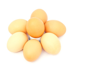 Many eggs
