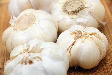 garlic