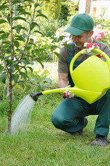 Gärtner giesst Blumen