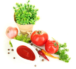 Still life tomatoes ketchup and herbs isolated on white