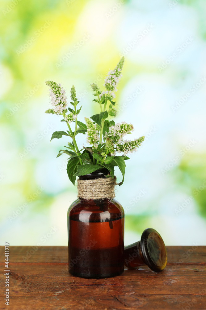 Wall mural Essential oil and mint on green background close-up