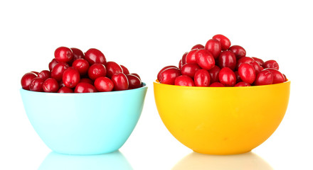 fresh cornel berries in colorful bowls isolated on white