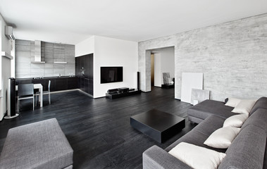 Modern minimalism drawing-room interior in black and white