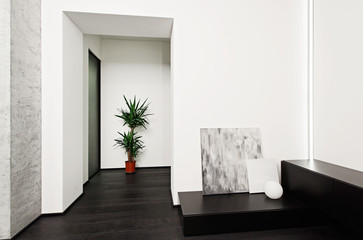 Modern minimalism style hall interior in black and white tones