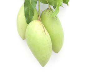 Mango on white paper