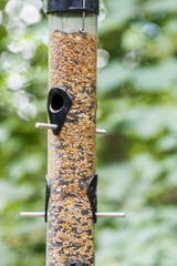 Clear Plastic Bird Feeder