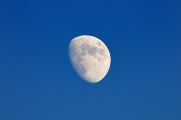 Obraz na płótnie Canvas 青空と月