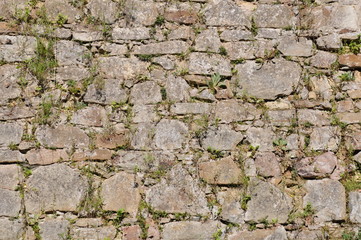 Stone background, wall in the garden