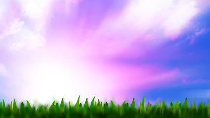 Fototapeta na wymiar Grass and defocused sky on background