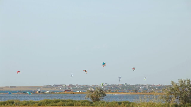 Paraplanes in a clear blue sky