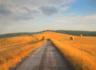 Fototapeta premium Tuscan countryside