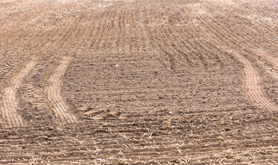 Dry soil texture