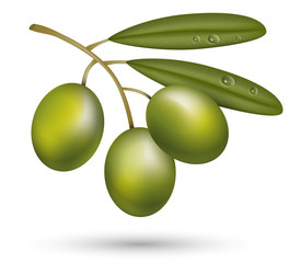green olives