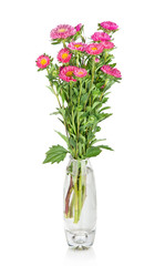 Naklejka na ściany i meble asters bouquet in vase isolated on white