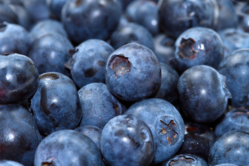  blueberries