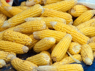 group of corn