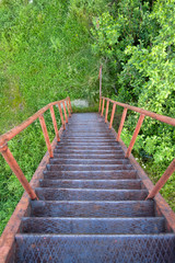 Descent from the rusty ladder