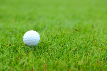 White golf ball on tee
