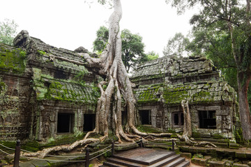 Fototapeta premium Ancient Ta Prohm or Rajavihara Temple at Angkor