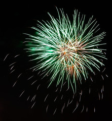 Fireworks exploding against night sky