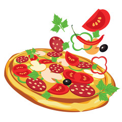 Pizza, vector illustration