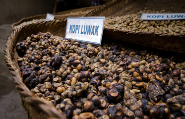 coffee luwak