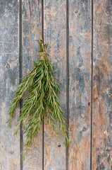 Naklejka premium Rosemary