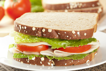 Fresh Homemade Turkey Sandwich