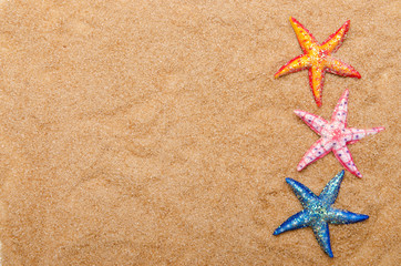 Sea stars on the sand