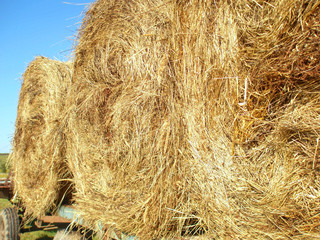Three rolls of hay