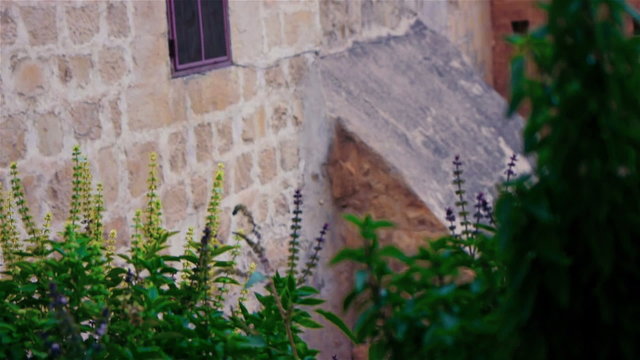Saint Sabba's Mar Saba monastery near Jerusalem, Israel