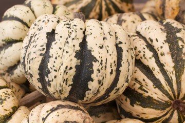Colorful squash and gourds at a fall farmers market