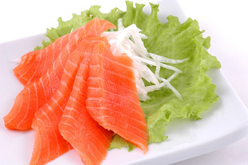 Salmon