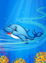 Unterwasser-Delfin