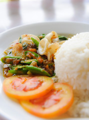 Thai style spicy food, squid with basil leaves