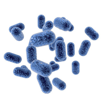 Bactérie bleues sur fond blanc