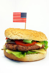 Typical hamburger with American flag