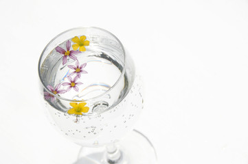 スパークリングフラワー