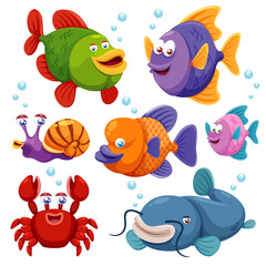 Illustration de la collection de poissons