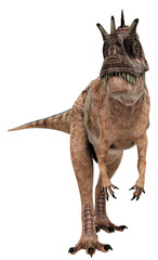 ceratosaurus looking