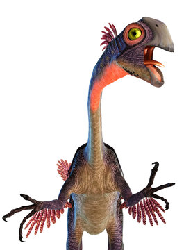 Gigantoraptor Closer