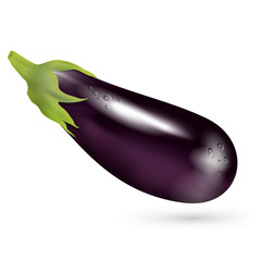 eggplant vector illustration