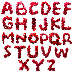 Alphabet letter A - Z made from red petals rose isolated on a wh