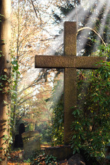Friedhof 25