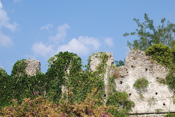 rovine