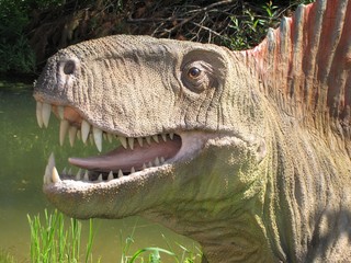 dinosaur © robert6666