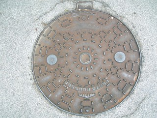 plaque sol