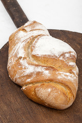 Brot