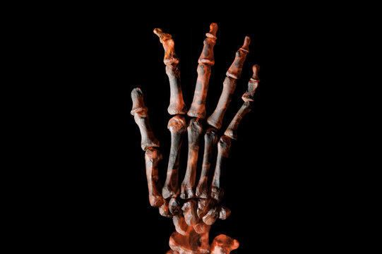 "F&uuml;r den leg&acute; ich meine Hand ins Feuer"