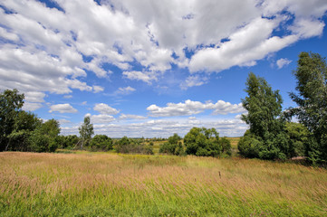 Rural landscape with meadow